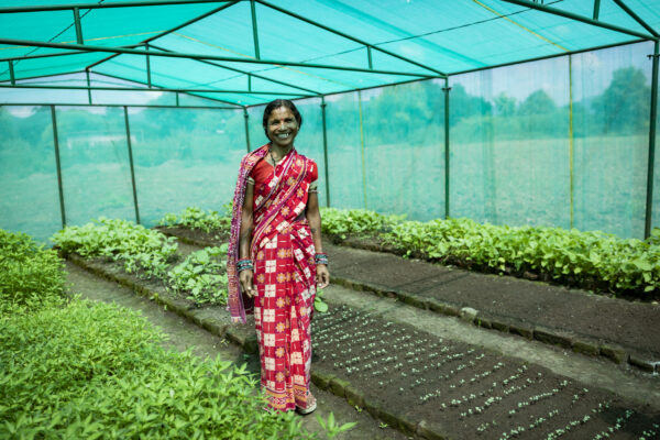 NGO photography for Lutheran World Service India Trust in Bhawanipatna, Kalahandi, Odisha, photographing livelihood generation through greenhouses for cultivation.