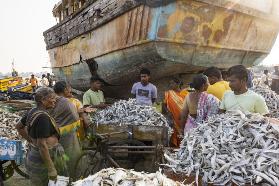 17 November 2022, Visakhapatnam, Andhra Pradesh, India- Women sell dried fish at the fishing harbour.This photo mission has been supported by Central Institute of Fisheries Technology (ICAR- CIFT), India.