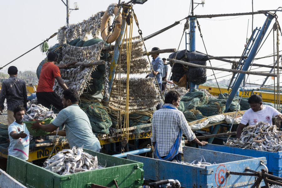 17 November 2022, Visakhapatnam, Andhra Pradesh, India- Fishermen carry dried fish from a mechanised fishing boat to sellers' cycle carts at the fishing harbour.This photo mission has been supported by Central Institute of Fisheries Technology (ICAR- CIFT), India.